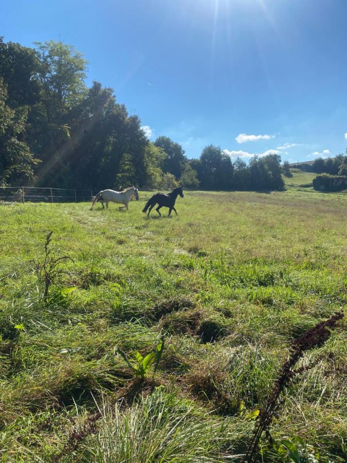 Chez Sophie -Chambres D'Hotes, Gite Et Gite Equestre Clermont-Dessous 외부 사진
